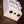 Crazy Tube Circuits White Whale Junior Spring Reverb