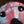 LofiMind Gypsy Face 
