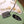 Fender Player II Stratocaster Birch Green