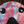 LofiMind Gypsy Face 