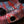 LofiMind Gypsy Face 