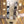 Epiphone 1960 Les Paul Special Double Cut TV White