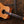 Taylor Custom-DN Koa PRE-OWNED!