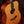 Taylor Custom-DN Koa PRE-OWNED!