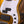 Sandberg California II VM 5 Metallic Gold