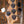 Sandberg California II VM 5 Metallic Gold