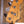 Fender Player II Precision Bass 3-Color Sunburst