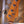 Sire Marcus Miller V5 Fretless 4-String 2nd Gen Vintage White