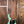 Dingwall JT3 John Taylor Signature 5-String Seafoam Green