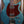 Eastman D'Ambrosio Offset '62 Ocean Turquoise