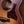 Taylor 50th Anniversary GS Mini-e Rosewood SB LTD 