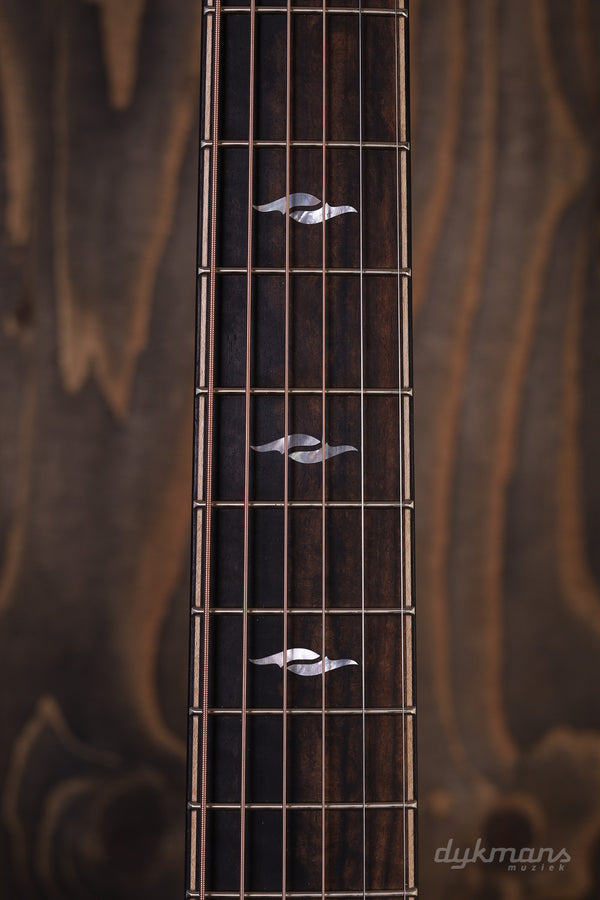 Taylor Builder's Edition 814ce Adirondack Spruce