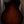 Taylor Builder's Edition 814ce Adirondack Spruce