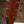 Taylor Builder's Edition 814ce Adirondack Spruce