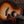 Taylor Builder's Edition 814ce Adirondack Spruce