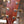 Taylor Builder's Edition 814ce Sinker Redwood