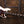 Sire Marcus Miller V7+ A4/TS 2nd Gen Antique White