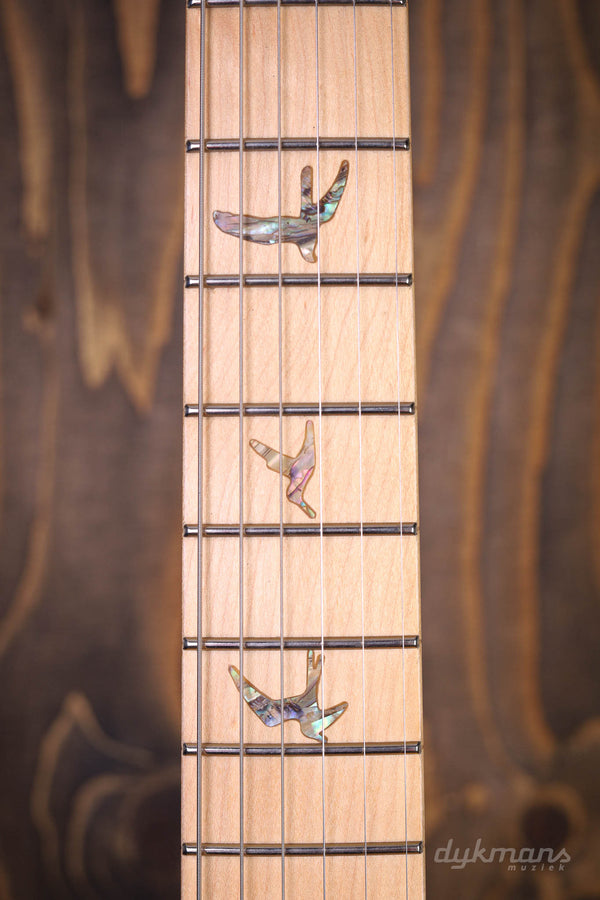 PRS SE Swamp Ash Special Charcoal