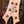 PRS SE Swamp Ash Special Charcoal