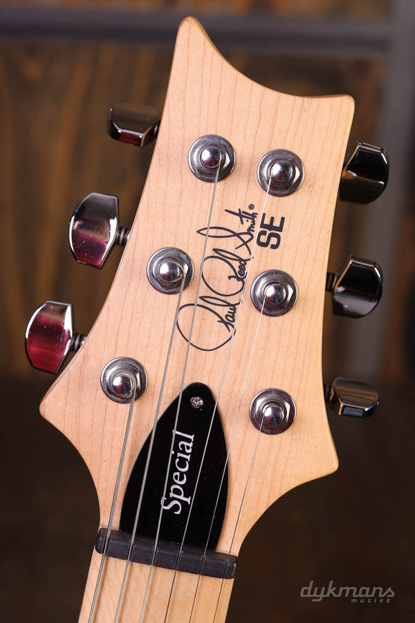 PRS SE Swamp Ash Special Charcoal