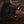 PRS Custom 24-08 Wood Library Sage
