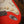 Del-Tone 60s S-Style Fiesta Red Light Aged