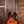 Epiphone Pre-War SJ-200 Rosewood Reissue
