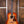 Taylor Gold Label 717e Sunburst