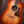 Taylor Gold Label 717e Sunburst