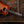 Taylor Gold Label 717e Sunburst