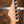 Suhr Classic T Butterscotch
