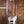 Epiphone Thunderbird 64 Silver Mist