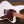 Mayones Jassper Nidra