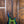 Music Man Majesty Ball Reserve Arctic Aurora
