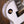 Epiphone Les Paul Custom White