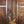 Ibanez JCSR2023RCY River Canyon