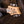 PRS SE Silver Sky Storm Grey