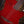Goddess Multiac Encore Burnt Umber SG