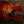 Eastman PCH2-GACE Natural