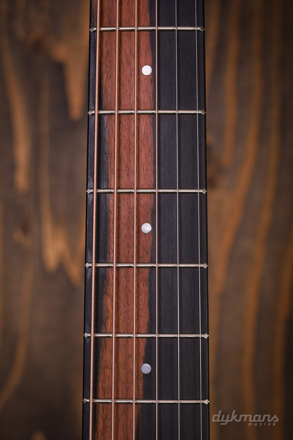 Taylor 24ce