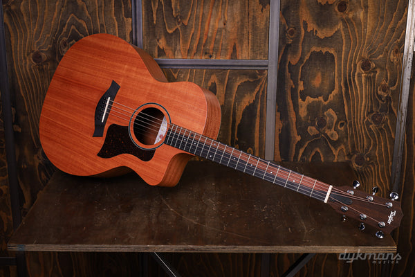 Taylor 24ce