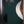 PRS Myles Kennedy Hunters Green