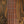 Ibanez SR305EDX-FDM Frozen Gold Matte