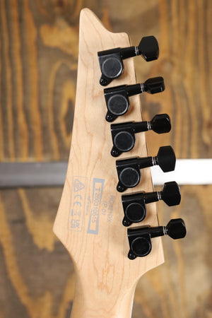 Ibanez RG421DX Twilight Shade