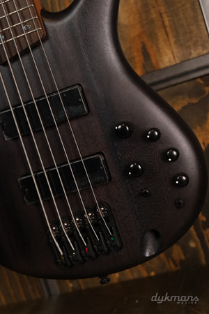 Ibanez SR505ATGF LTD Edition Transparent Gray Flat