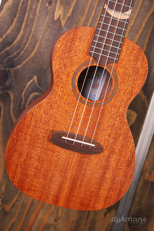 Ukulele