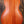 Ukulele