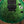 ESP USA Eclipse Lime Burst Marble