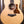 Taylor 50th Anniversary GS Mini-e Rosewood LTD 
