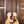 Taylor 50th Anniversary GS Mini-e Rosewood LTD 